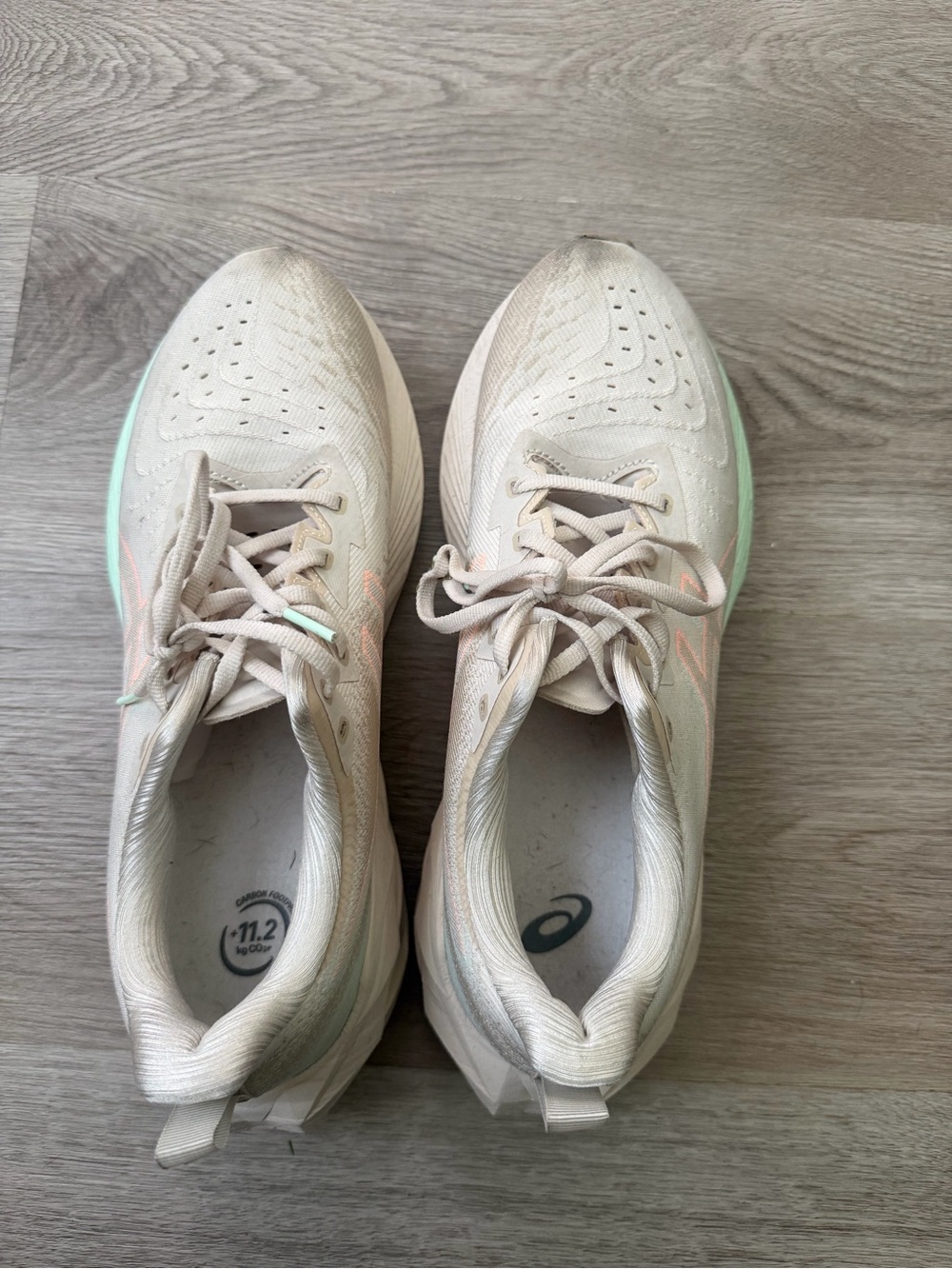 ASICS NovaBlast 6 Women